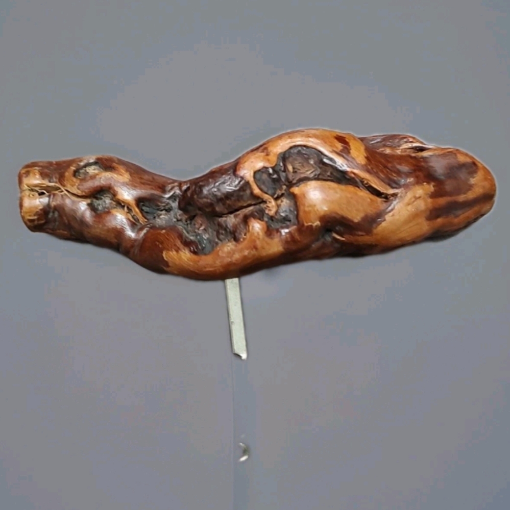 Grape Vine Root Wood Handle Corkscrew Knotty Burl Bar Unique Exotic Show Piece! - Picture 9 of 9